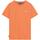 Textiel Heren T-shirts korte mouwen Superdry  Oranje