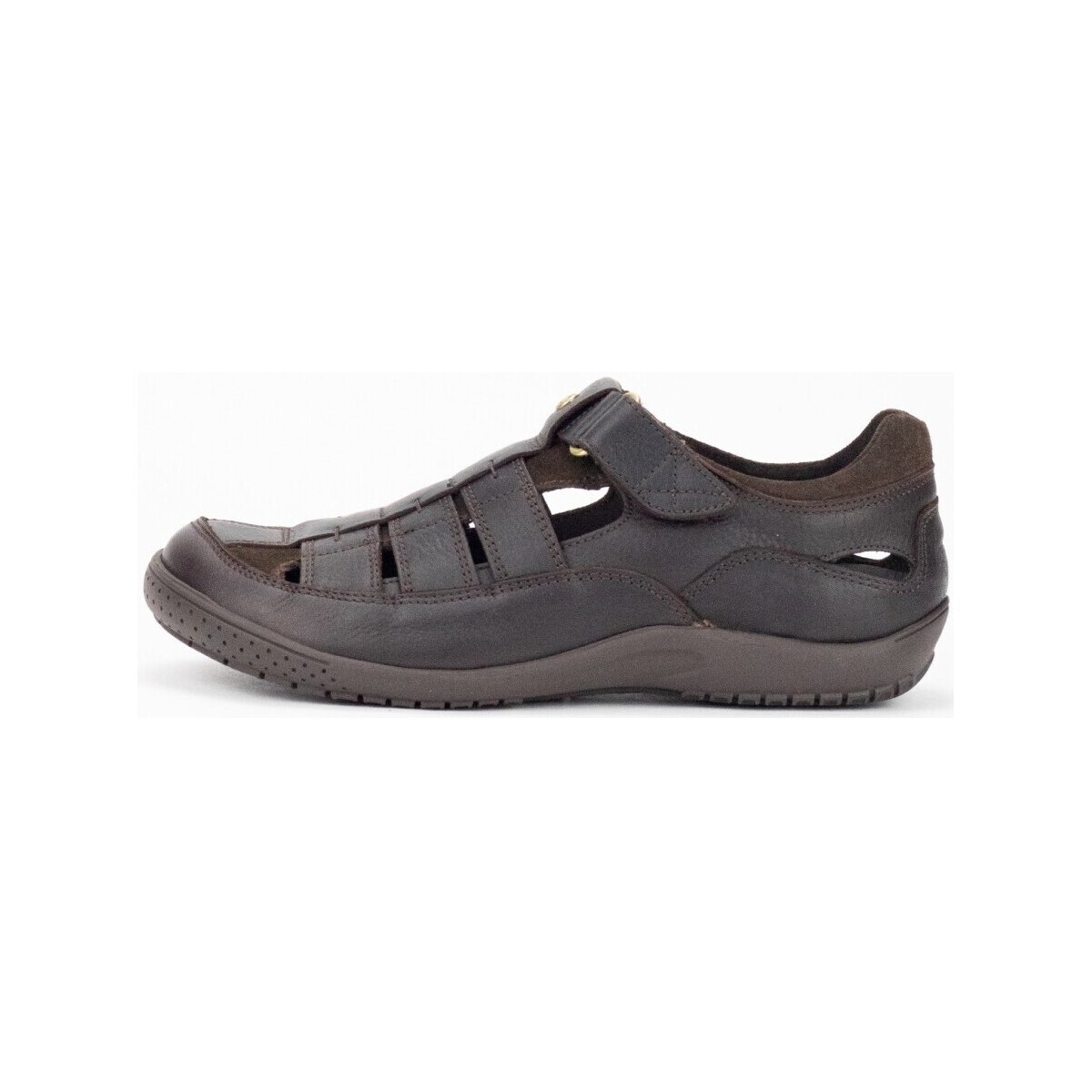 Schoenen Heren Sandalen / Open schoenen Panama Jack 32411 Bruin