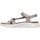 Schoenen Dames Sandalen / Open schoenen Skechers 141451 GO WALK FLEX SANDAL Bruin