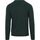 Textiel Heren Sweaters / Sweatshirts Gant Trui Lamswol Donkergroen Groen