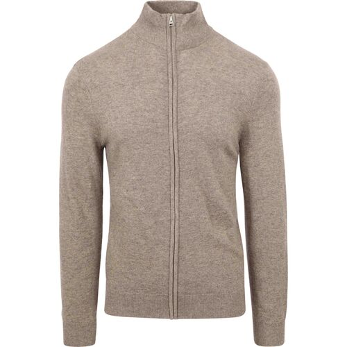 Textiel Heren Sweaters / Sweatshirts Gant Vest Lamswol Greige Grijs