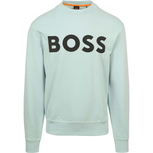 Textiel Heren Sweaters / Sweatshirts BOSS Trui Logo Turqouise Multicolour