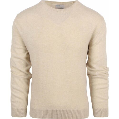 Textiel Heren Sweaters / Sweatshirts Colorful Standard Trui Merino Beige Beige