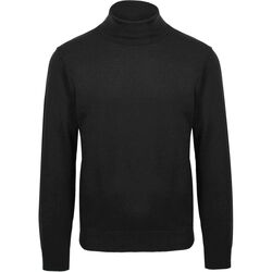 Textiel Heren Sweaters / Sweatshirts Suitable Ecotec Coltrui Zwart Zwart