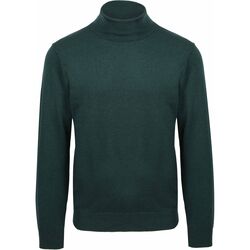 Textiel Heren Sweaters / Sweatshirts Suitable Ecotec Coltrui Donkergroen Groen
