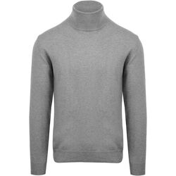 Textiel Heren Sweaters / Sweatshirts Suitable Ecotec Coltrui Grijs Grijs