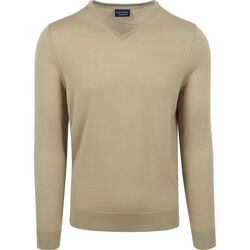 Textiel Heren Sweaters / Sweatshirts Suitable Merino Pullover V-Hals Lichtgroen Groen