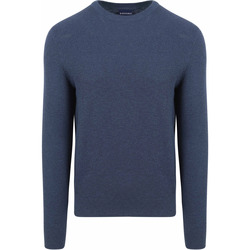 Textiel Heren Sweaters / Sweatshirts Suitable Trui Structuur Petrol Blauw