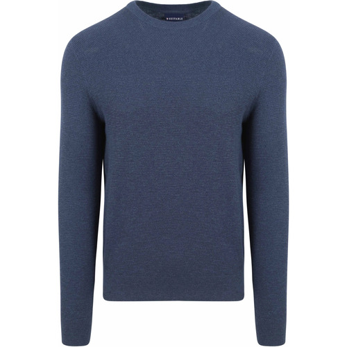 Textiel Heren Sweaters / Sweatshirts Suitable Trui Structuur Petrol Blauw