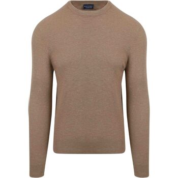 Textiel Heren Sweaters / Sweatshirts Suitable Trui Structuur Taupe Beige