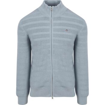 Textiel Heren Sweaters / Sweatshirts Gant Vest Structuur Lichtblauw Blauw