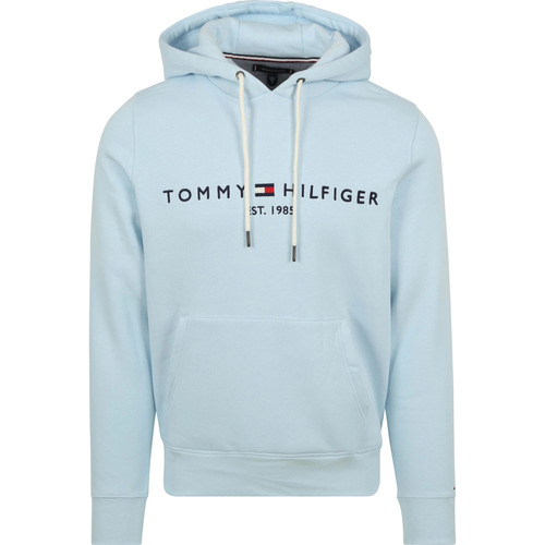 Textiel Heren Sweaters / Sweatshirts Tommy Hilfiger Hoodie Logo Lichtblauw Blauw