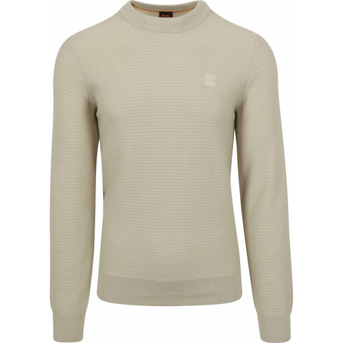 Textiel Heren Sweaters / Sweatshirts BOSS Trui Anion Greige Beige