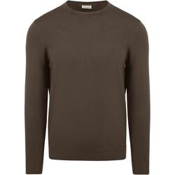 Textiel Heren Sweaters / Sweatshirts Profuomo Pullover Luxury Bruin Bruin