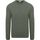 Textiel Heren Sweaters / Sweatshirts Profuomo Pullover Textured Groen Groen