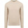 Textiel Heren Sweaters / Sweatshirts Profuomo Pullover Textured Ecru Beige