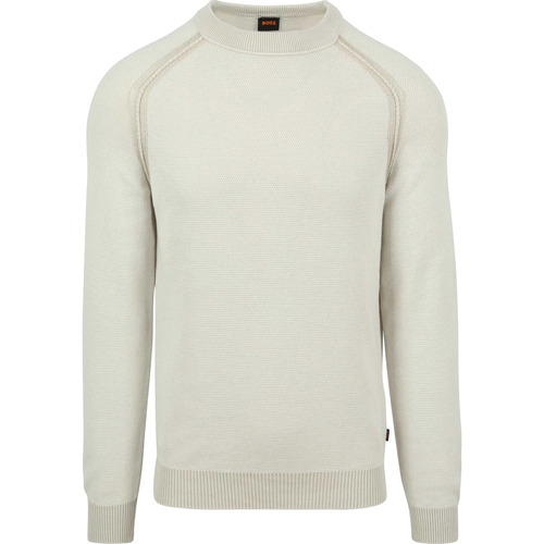 Textiel Heren Sweaters / Sweatshirts BOSS Pullover Apuok Greige Grijs