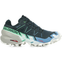 Schoenen Dames Sneakers Salomon Speedcross 6 Gtx W Blauw