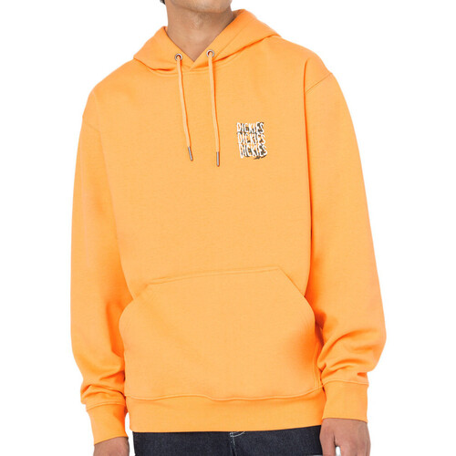 Textiel Heren Sweaters / Sweatshirts Dickies  Oranje