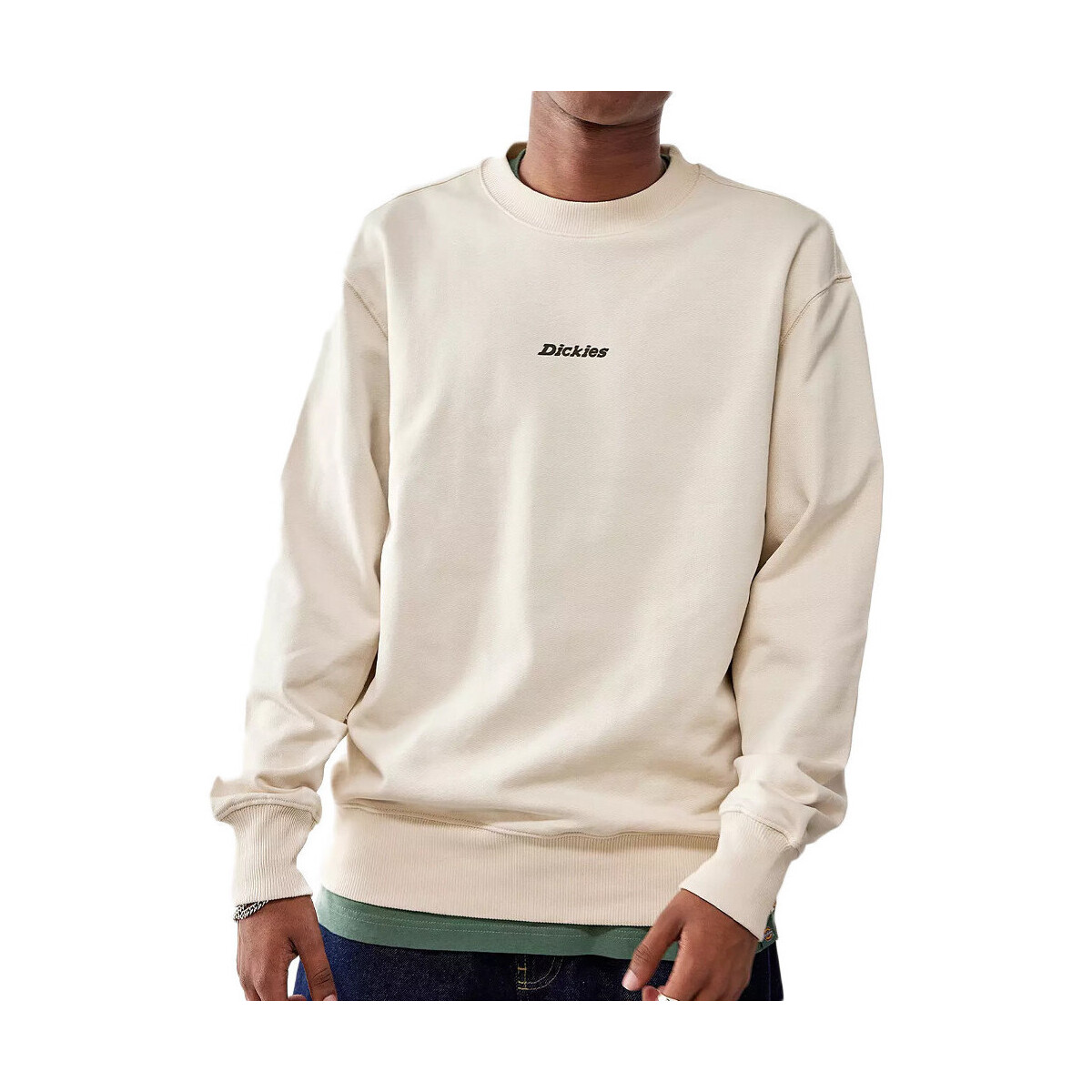 Textiel Heren Sweaters / Sweatshirts Dickies  Beige