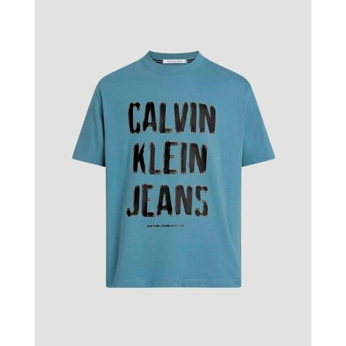 Textiel Heren T-shirts korte mouwen Calvin Klein Jeans J30J324648 Blauw