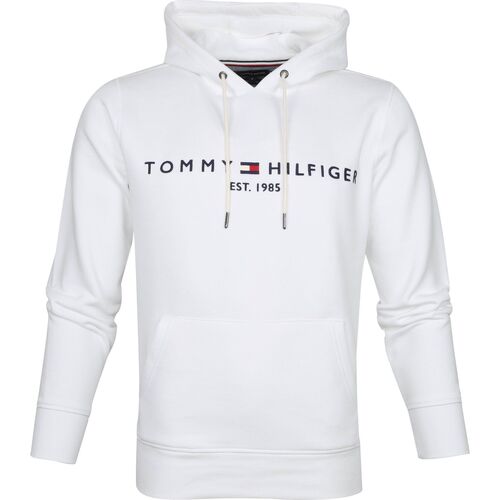 Textiel Heren Sweaters / Sweatshirts Tommy Hilfiger Hoodie Wit Wit