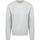 Textiel Heren Sweaters / Sweatshirts Colorful Standard Sweater Lichtgrijs Grijs