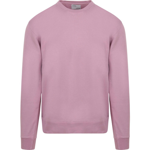 Textiel Heren Sweaters / Sweatshirts Colorful Standard Sweater Paars Bordeau