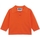 Textiel Dames Truien Wild Pony Knit 10604 - Orange Oranje