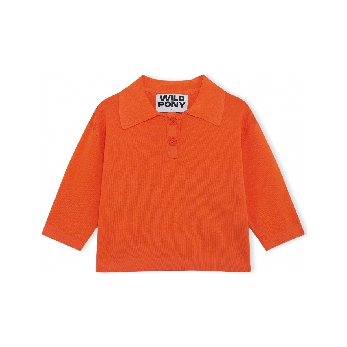 Textiel Dames Truien Wild Pony Knit 10604 - Orange Oranje