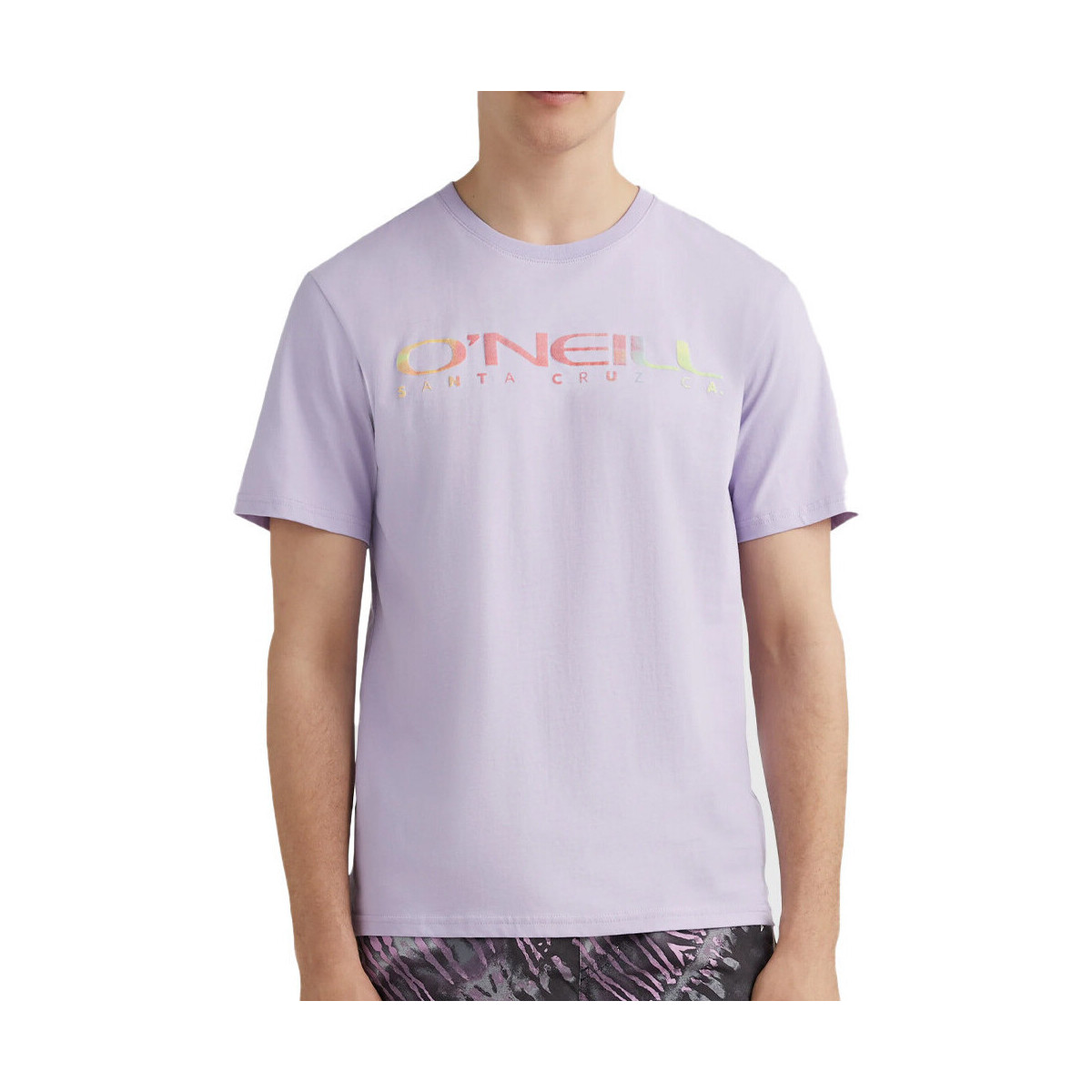 Textiel Heren T-shirts & Polo’s O'neill  Violet