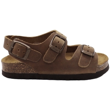Schoenen Kinderen Sandalen / Open schoenen Plakton Corto Baby Sandals - Beige Bruin