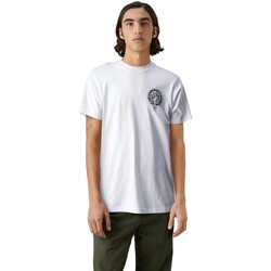 Textiel Heren T-shirts korte mouwen Santa Cruz  Wit