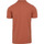 Textiel Heren T-shirts & Polo’s Dstrezzed Polo Dorian Rust Multicolour