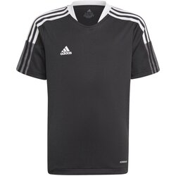 Textiel Jongens T-shirts & Polo’s Adidas Sportswear  Other