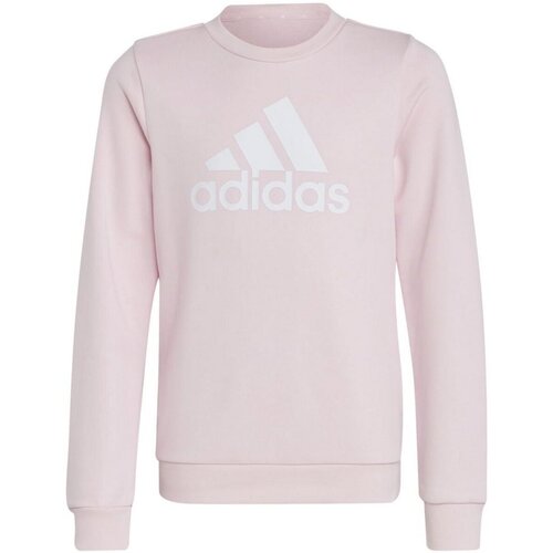 Textiel Jongens Sweaters / Sweatshirts adidas Originals  Other