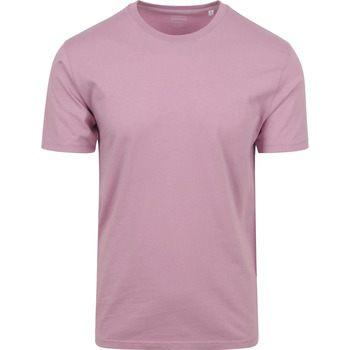 Textiel Heren T-shirts & Polo’s Colorful Standard T-shirt Cherry Paars Bordeau