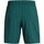 Textiel Heren Korte broeken / Bermuda's Under Armour Ua Woven Wdmk Shorts Groen