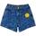Textiel Meisjes Korte broeken / Bermuda's Desigual  Blauw