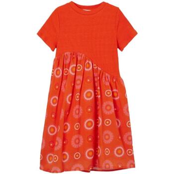 Textiel Meisjes Jurken Desigual  Oranje