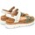 Schoenen Dames Sandalen / Open schoenen Pikolinos PALMA W4N 0968C3 Groen