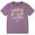 Textiel Jongens T-shirts korte mouwen Levi's  Violet