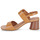 Schoenen Dames Sandalen / Open schoenen Stonefly JENNY 2 COCCO EMBOSSED LTH Bruin