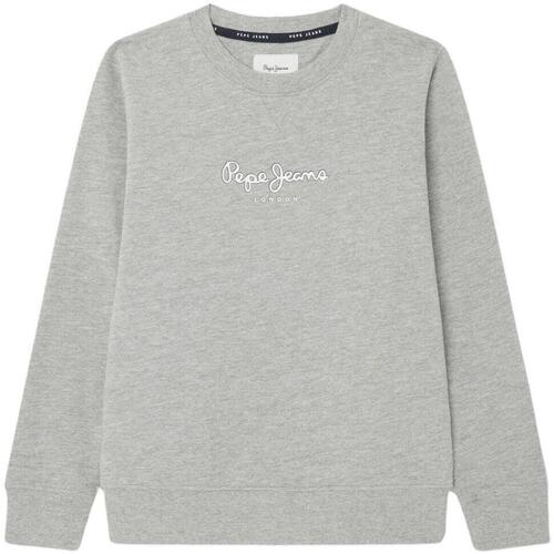 Textiel Jongens Sweaters / Sweatshirts Pepe jeans  Grijs
