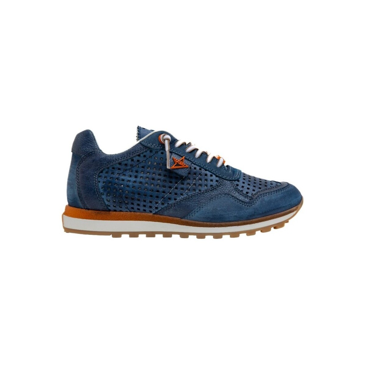 Schoenen Heren Sneakers Cetti C-848 Blauw