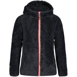 Textiel Jongens Sweaters / Sweatshirts Icepeak  Grijs