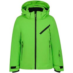 Textiel Jongens Wind jackets Icepeak  Groen