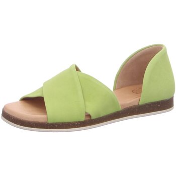 Schoenen Dames Sandalen / Open schoenen Apple Of Eden  Groen