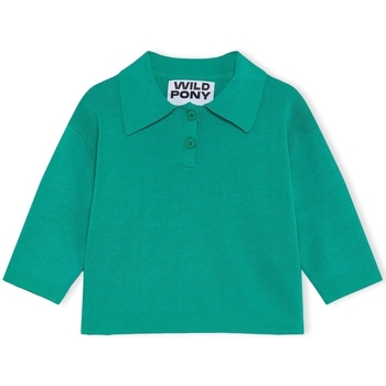 Textiel Dames Truien Wild Pony Knit 10603 - Green Groen