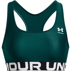 Textiel Dames Sport BH's Under Armour Ua Hg Authentics Mid Branded Groen